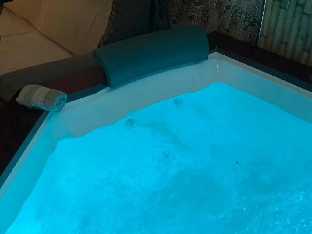 Lolf With Jacuzzi In Malaga Apartment